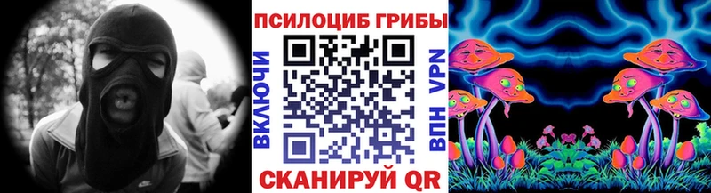 Псилоцибиновые грибы Psilocybe Купить где Ужур
